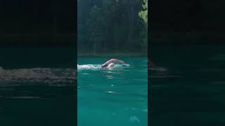 Slow motion freestyle swimming in open water sharetheswimlove swimming [upl. by Atirihs401]