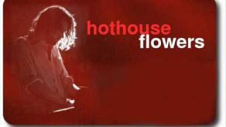 Hothouse Flowers Gipsy Fair [upl. by Turino]