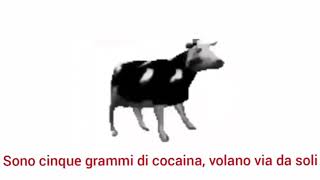 polish cow traduzione in italiano [upl. by Norvun]