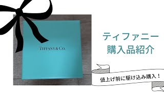 【ティファニー】購入品紹介値上げ前の駆け込み購入TIFFANYampCoデパート積立２０代OL [upl. by Arella]