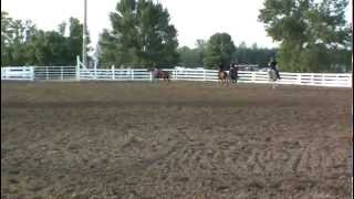 mounted drill team riders on running horses  horse rider amp fast performance horses galloping [upl. by Lerred]