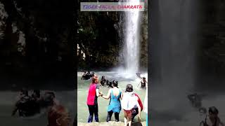 Tiger Falls Chakrata falls tigerfalls chakrata travelwithadventure travel shorts [upl. by Perice]