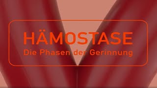 Hämostase – Die Phasen der Gerinnung [upl. by Ardnoyek951]