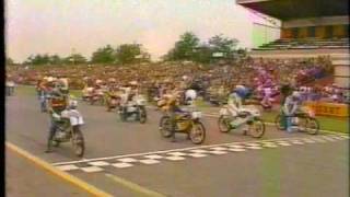 RR WM nl ´81 Assen 50cc [upl. by Ellehcar744]