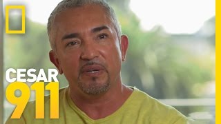 Cesars Nuggets of Wisdom Part 5  Cesar 911 [upl. by Archie]