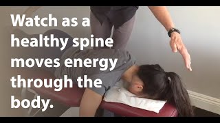 Network Spinal Care  Energy Healing [upl. by Lisette996]