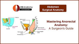 Mastering Anorectal Anatomy A Surgeon’s Guide [upl. by Aicat433]