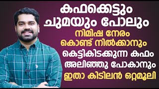 കെട്ടിനിൽക്കുന്ന കഫം അലിഞ്ഞു പോകാൻ ഇതാ ഒരു കിടിലൻ ഒറ്റമൂലി  kapha kettu maran malayalam  Dr Bibin [upl. by Hearsh813]