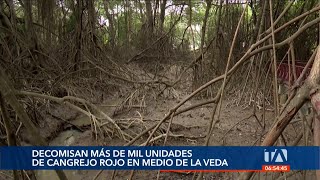 Mil cangrejos rojos en veda fueron decomisados y liberados en su hábitat [upl. by Kier261]