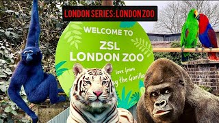 London Series London Zoo [upl. by Spillihp]