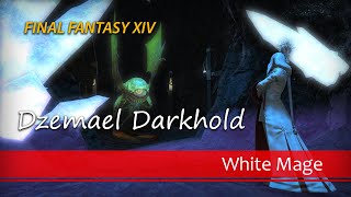 Dzemael Darkhold as White Mage  FFXIV [upl. by Hieronymus836]