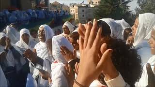 ዓይኔ ነሽ እኮ ብርሃኔ  ይኸው ይኸው እልልታ  Ayne Nesh Eko Berhanie  Ethiopian Orthodox Tewahedo Mezmur [upl. by Kira]