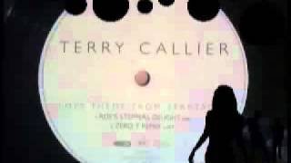 Terry Callier  Love Theme From Spartacus [upl. by Aienahs]