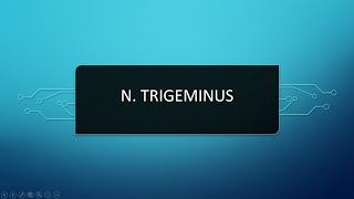 N Trigeminus  V Kraniyal Sinir [upl. by Ernesto613]