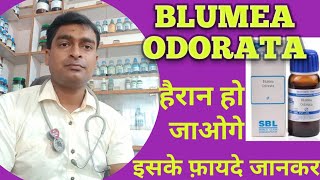 Blumea Odorata sign and symptom dose [upl. by Noorah]