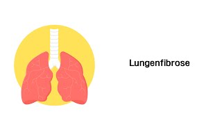 Lungenfibrose  Erkrankungen der Atemwege [upl. by Aisereht]