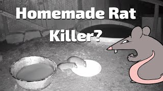 Homemade Rat killer [upl. by Analah]