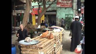 Le Caire  marché et mosquées vidéo [upl. by Aninahs935]