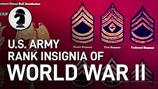 US Army Rank Insignia of WW2 [upl. by Onimod141]