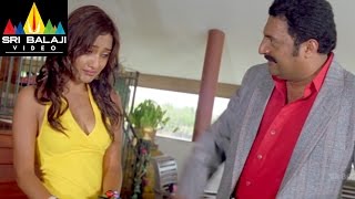 Chirutha Movie Prakash Raj and Neha Sharma Scene  Ram Charan Neha Sharma  Sri Balaji Video [upl. by Wrightson]