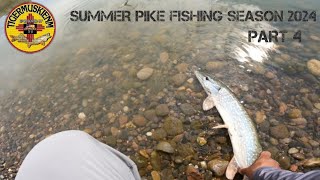 SUMMER PIKE FISHING SEASON 2024 PART 4 [upl. by Dall999]