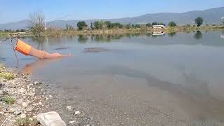 Sakarya Nehri Balık Avı [upl. by Ardisi]