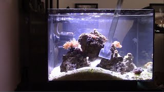 Fishkeeping Tips  How To Perform A Water Change On An Aquarium [upl. by Mloclam355]