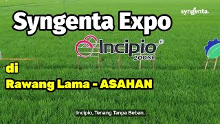 SYNGENTA EXPO  LAUNCHING PRODUK INCIPIO 200 SC [upl. by Nothgierc]