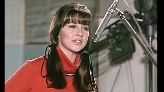 The Seekers  Ill Never Find Another You HQ Stereo 196468 [upl. by Emmalyn]