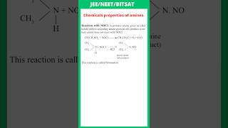 Reaction with NOCl  Chemical Properties of Amines  JEE  NEET  BITSAT [upl. by Udenihc179]