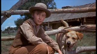 Old Yeller 1957  Movie Review [upl. by Omor515]