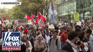 Thousands of proPalestinian protesters descend on DC [upl. by Haldeman]