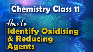 How to Identify Oxidising and Reducing Agents  Redox Reaction  Chemistry Class 11 [upl. by Irak]