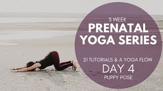 Prenatal Yoga Series Day 4 of 22  Puppy Pose yoga for pregnancy [upl. by Cornelle522]