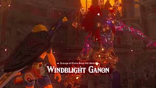 Windblight skip any BOTW [upl. by Snebur]