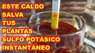 Caldo SULFO quotPOTÁSICOquot sin FUEGO 🔥✅ FUNGICIDA y ESTIMULANTE variante del sulfocálcico [upl. by Wehttam]