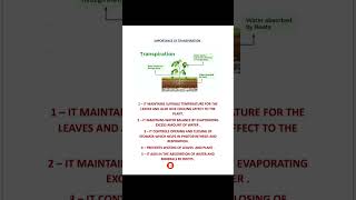 Importance of Transpiration Class 7 WhyTranspirationisnecessary TranspirationsImportanceinplants [upl. by Katinka364]