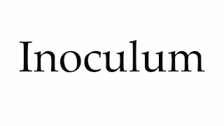 How to Pronounce Inoculum [upl. by Jasik243]