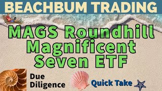 MAGS  Roundhill Magnificent Seven ETF  Quick Take [upl. by Enra]