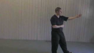 24 Form Tai Chi  Lesson 8  Repulse the Monkey [upl. by Hillel]