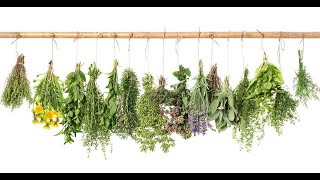 How to Identify Fresh Herbs by Leaf [upl. by Neisa]