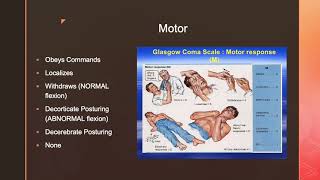 MedSurg GCS and NIH Stroke Scale [upl. by Adniralc3]