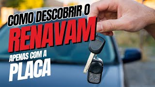 Como Consultar Renavam Pela Placa  Passo a Passo [upl. by Eenot]