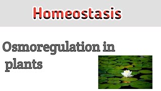 Osmoregulation in plants  Homeostasis [upl. by Boni]