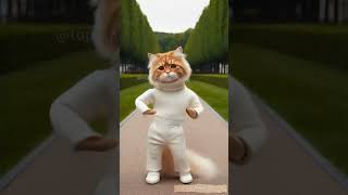 Kitty Karaoke Sing Along cats white foryou fyp shorts catselife catshorts [upl. by Ulrick]