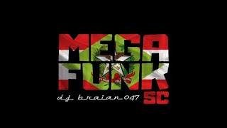 MEGA FUNK VIGARISTA davimateusmusic [upl. by Andris3]