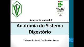 Anatomia do Sistema Digestório Dos Animais Monogástricos e Poligástricos  Parte 01 [upl. by Alia945]