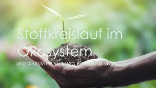 Ökologie Stoffkreislauf im Ökosystem und Biomassepyramide [upl. by Arimaj]