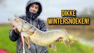 ZO VANG JIJ DIKKE SNOEKEN IN DE WINTER ft Tim Hakkert [upl. by Lyj]