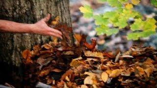 How to Build Roof for Outdoor Shelter  Survival Skills [upl. by Toor86]